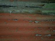 8.足不出户知天下